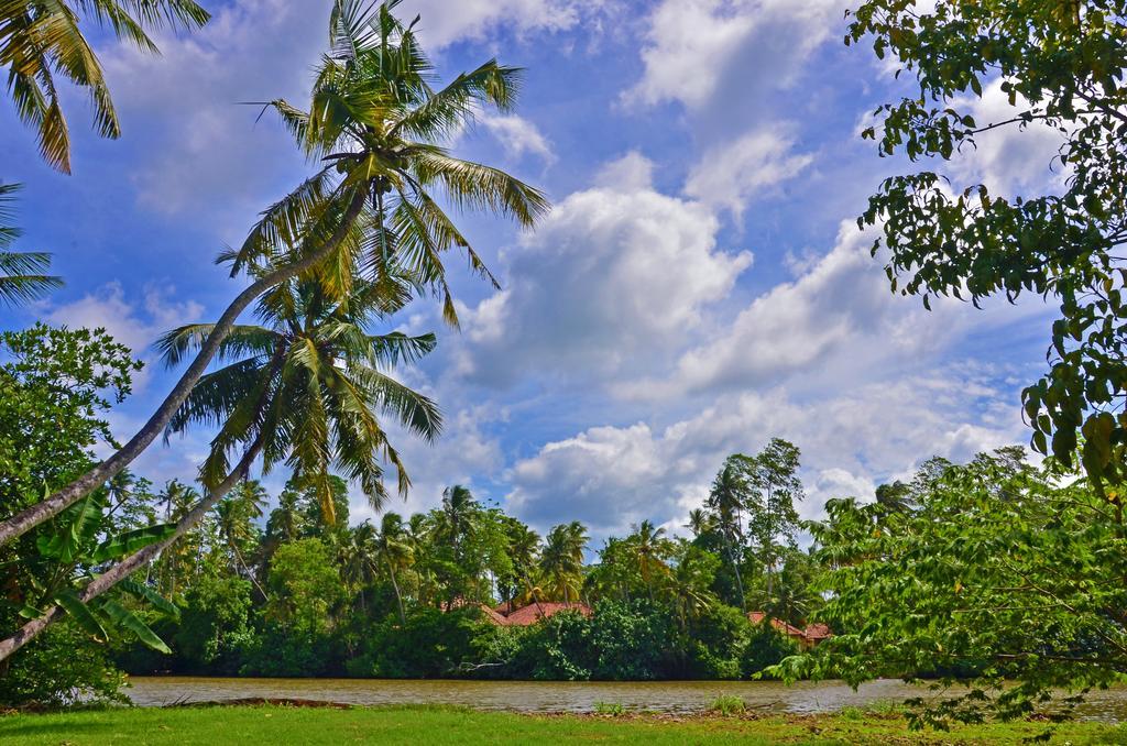 Aknara Rest Hotel Weligama Exterior photo